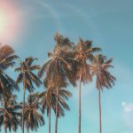 summer-promo
